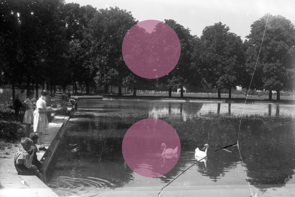 Schwarz-weiß-Fotografie eines Teichs in einem Park. Am Ufer stehen Menschen, darunter Frauen und Kinder, die ins Wasser blicken. Zwei Schwäne schwimmen im Vordergrund. Die Szenerie ist von hohen Bäumen umgeben. Zwei große rosa Kreise verdecken Teile des Bildes.