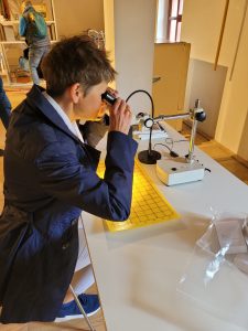 Eine Frau sitzt an einem Tisch und schaut durch ein Mikroskop auf eine Tafel zum Schädlingsmapping.
